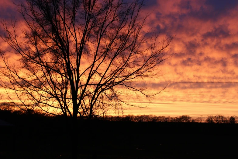 a tree is silhouetted against a cloudy sky