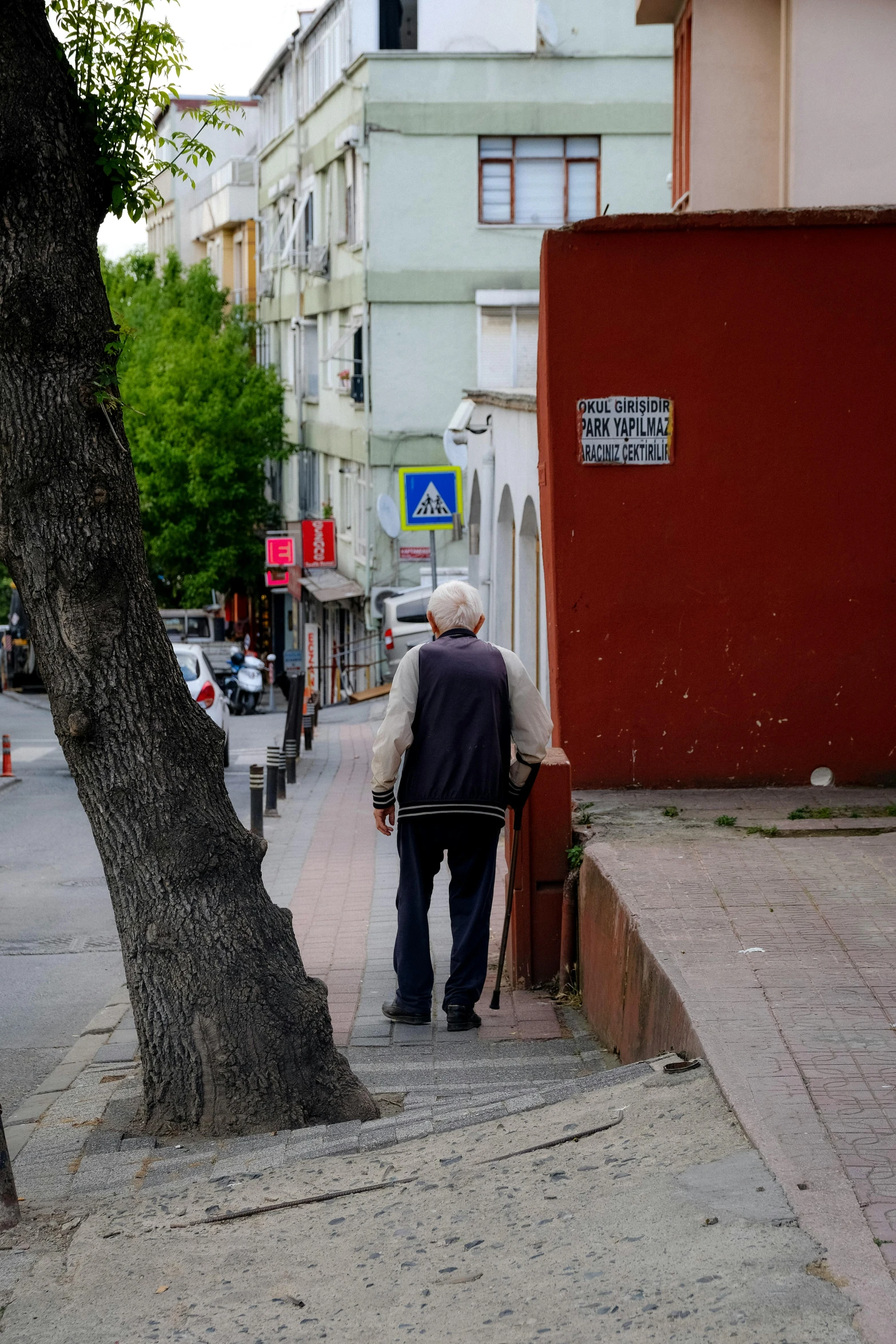 an elderly couple walking on a sidewalk beside a tree