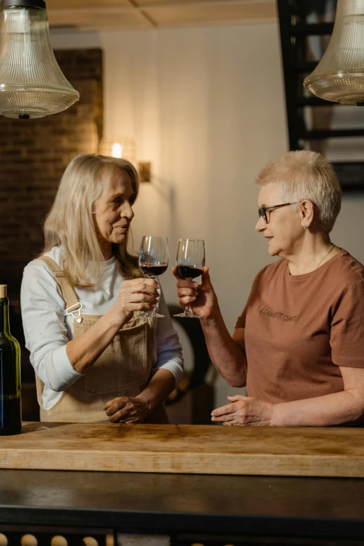 two women holding glasses of wine at a bar