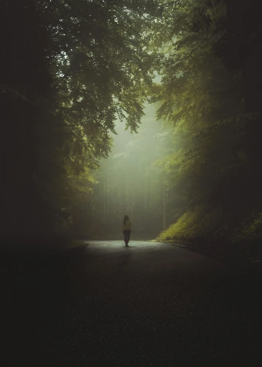two people walking down a dark, misty path