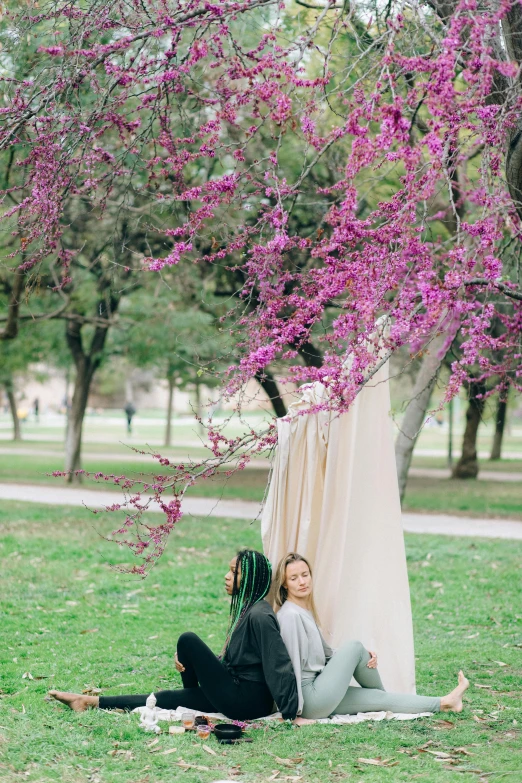 a woman sitting on the ground under a pink tree