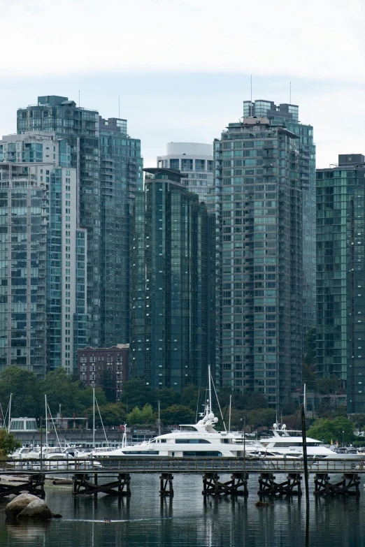 many boats and yachts at a dock outside of tall buildings