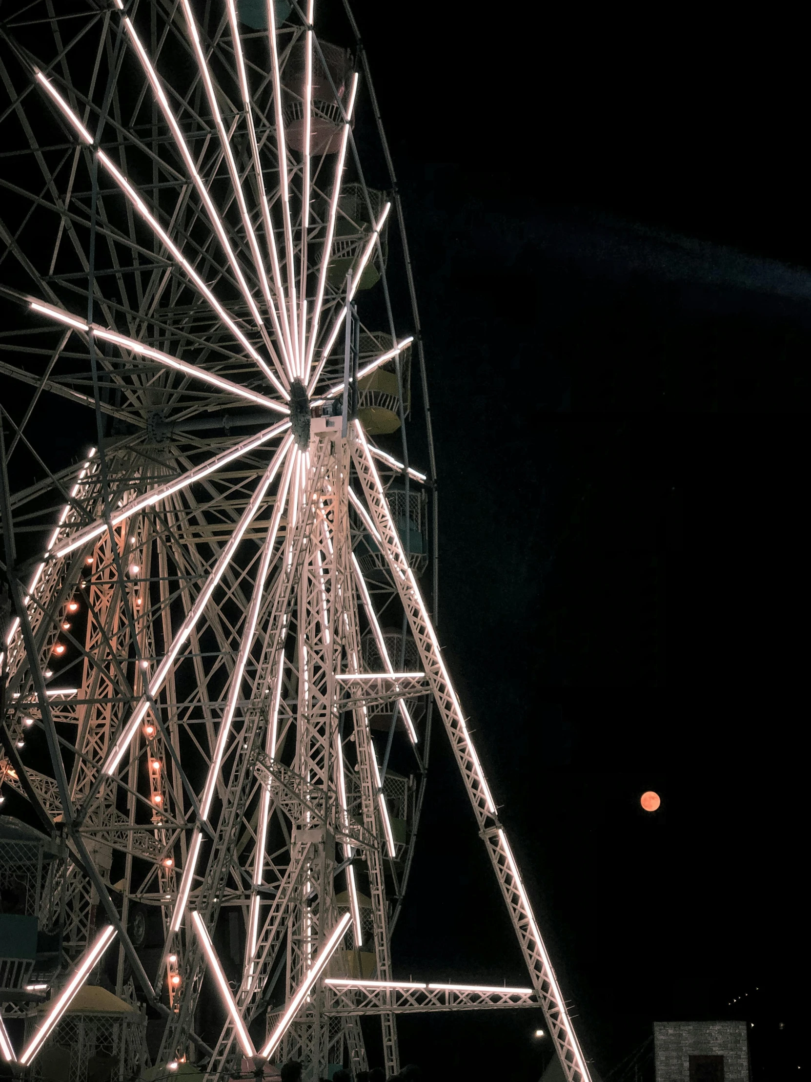 a ferris wheel and christmas lights lit up in the night sky