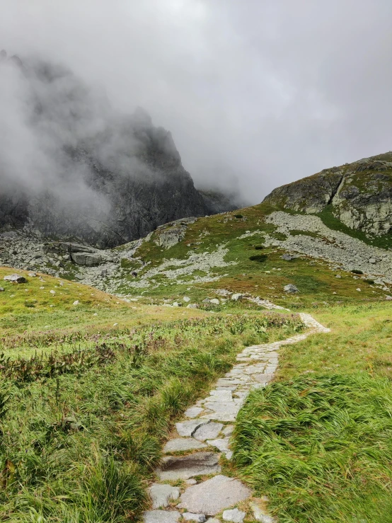 a stone path up the side of a grass covered mountain