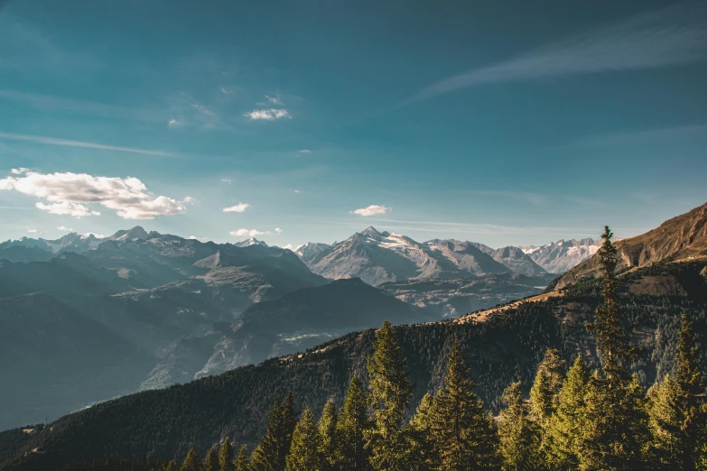 mountains covered in trees under a blue sky