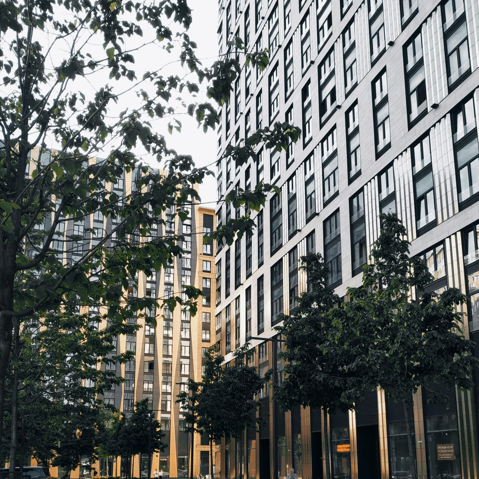 tall building in urban setting near trees and fence