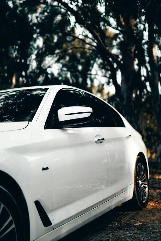 a white car parked in front of a tree filled forest