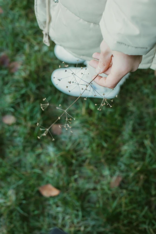 a person holding a small plant that is growing out of a pair of shoes