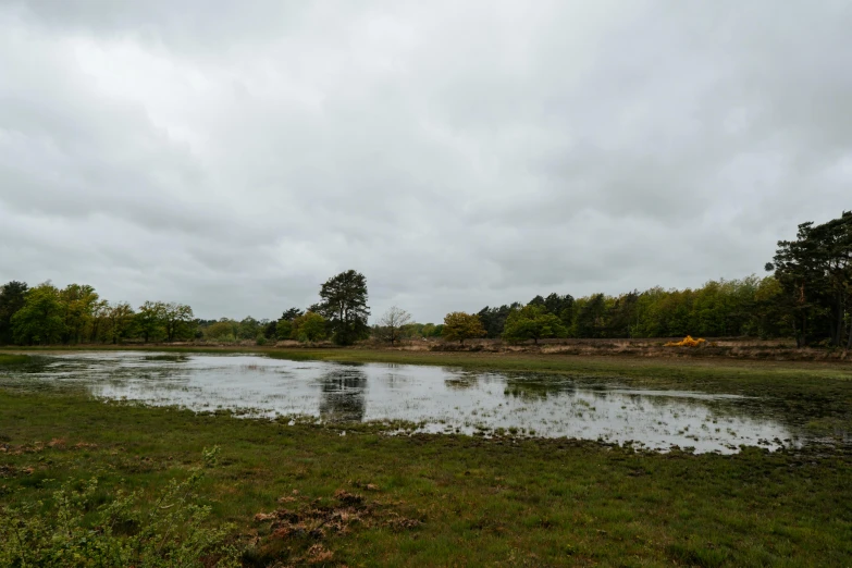 a water body sits in a grassy area under clouds