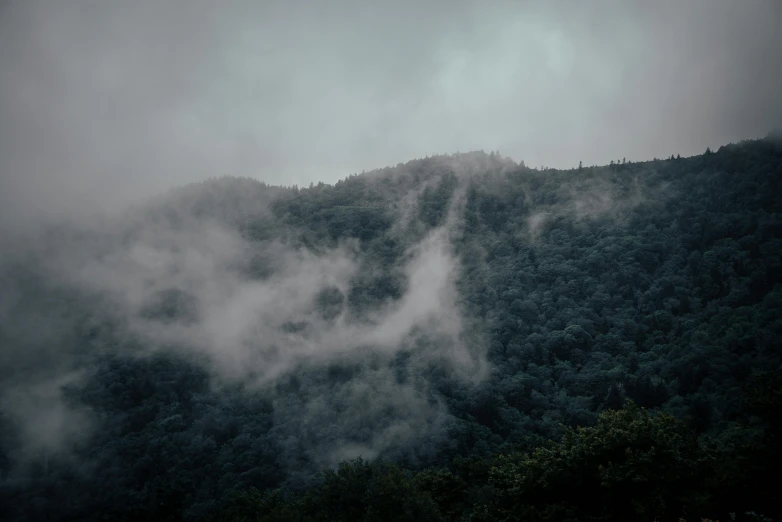 the mountain slope is covered in thick fog