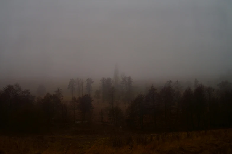 a foggy sky with trees and a bench