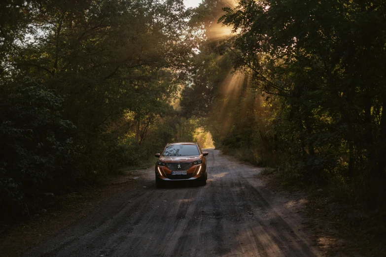 a car driving down a dirt road next to lots of trees