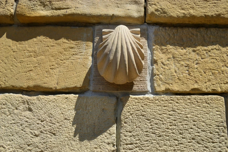 a shell hanging from a stone wall