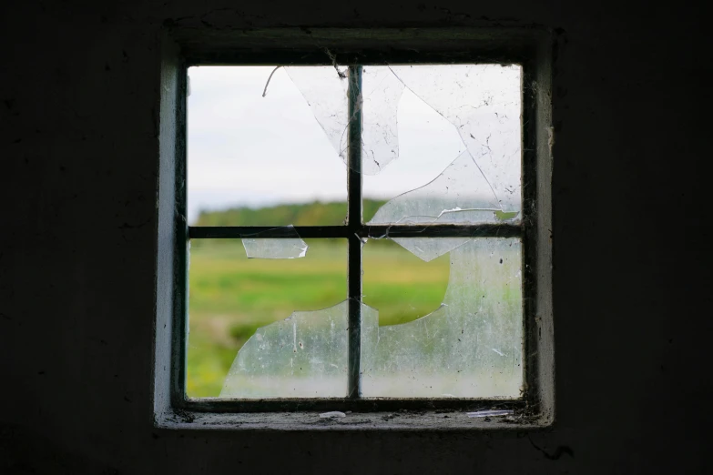 a window with broken glass showing horses on a farm