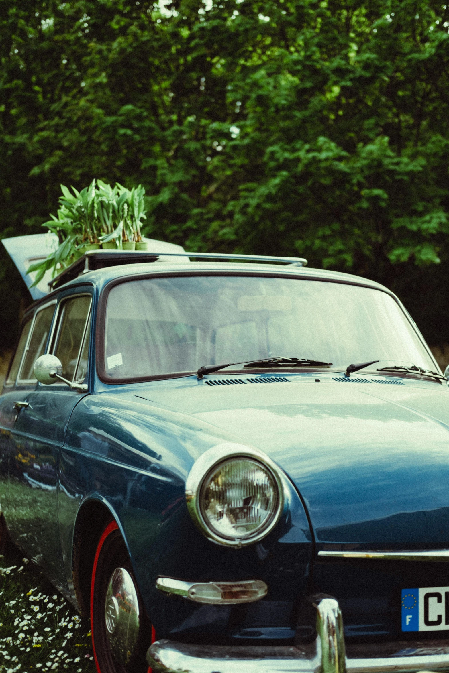 a vintage car with an old trunk of plants on top