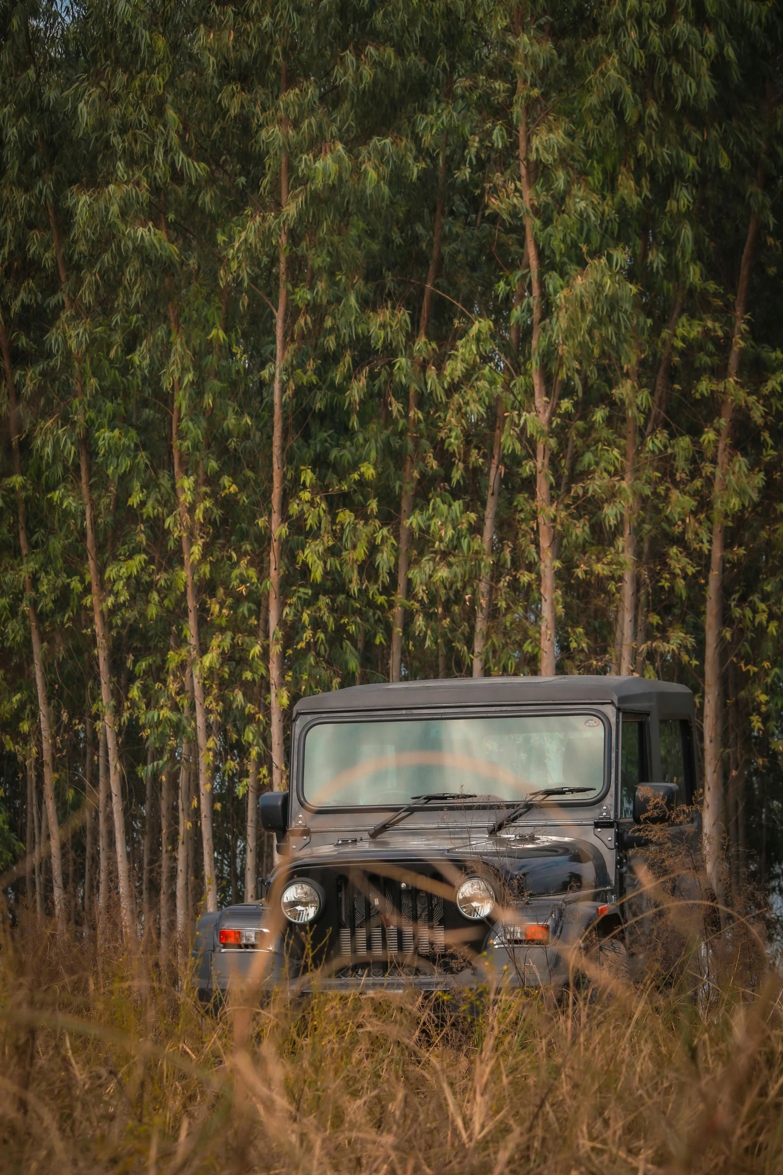 a car is parked by the side of a road in a field