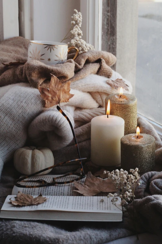 fall leaves and blankets piled on the side of a window