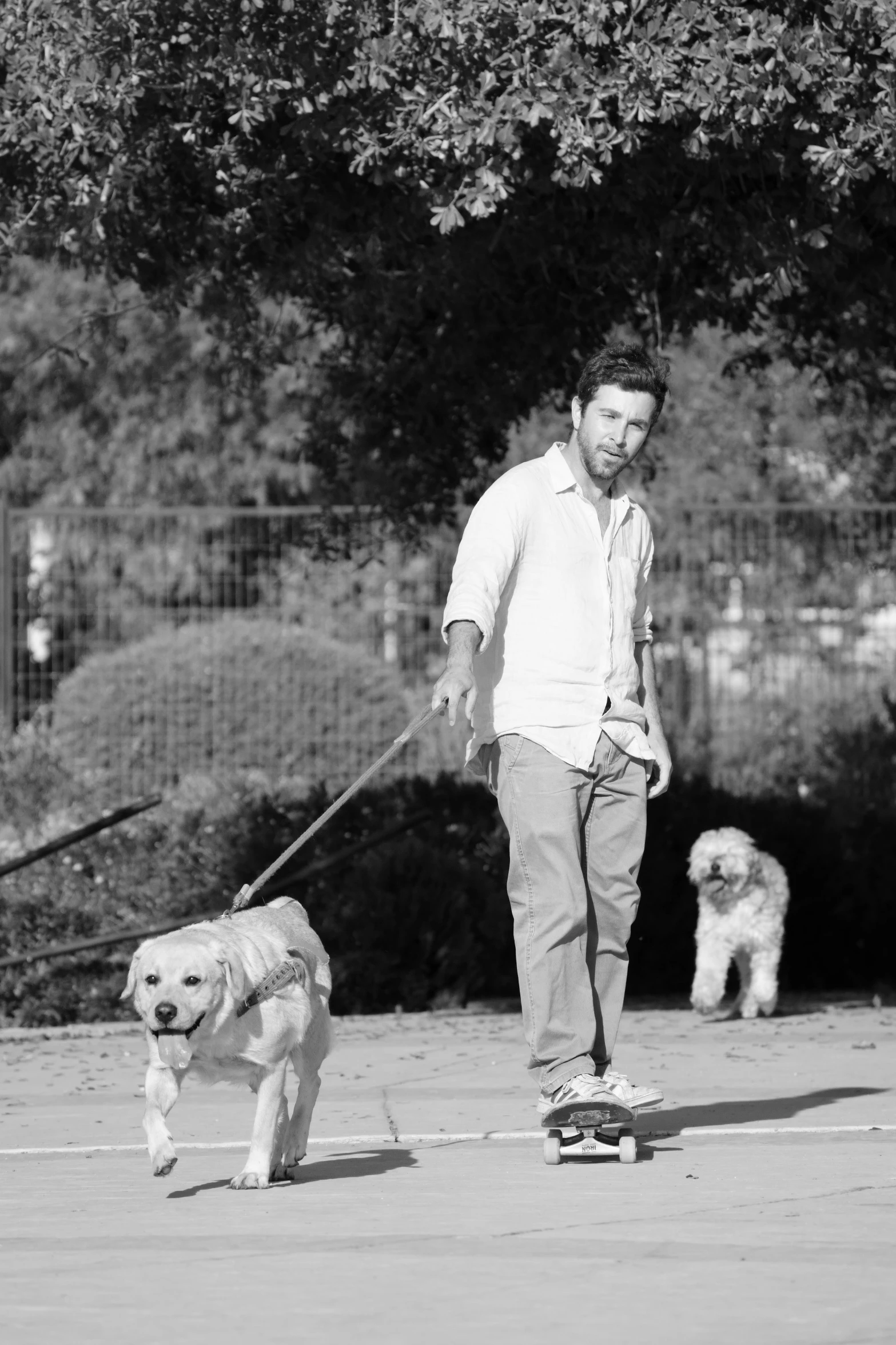 a man with his skateboard and dog walking a longboard