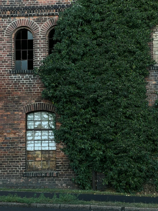 a man walks down the street by some bushes