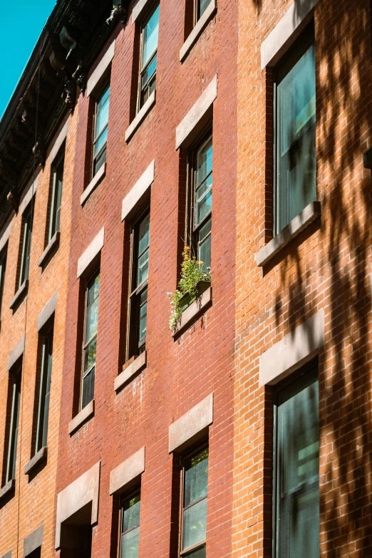 the windows of a building are closed and are visible