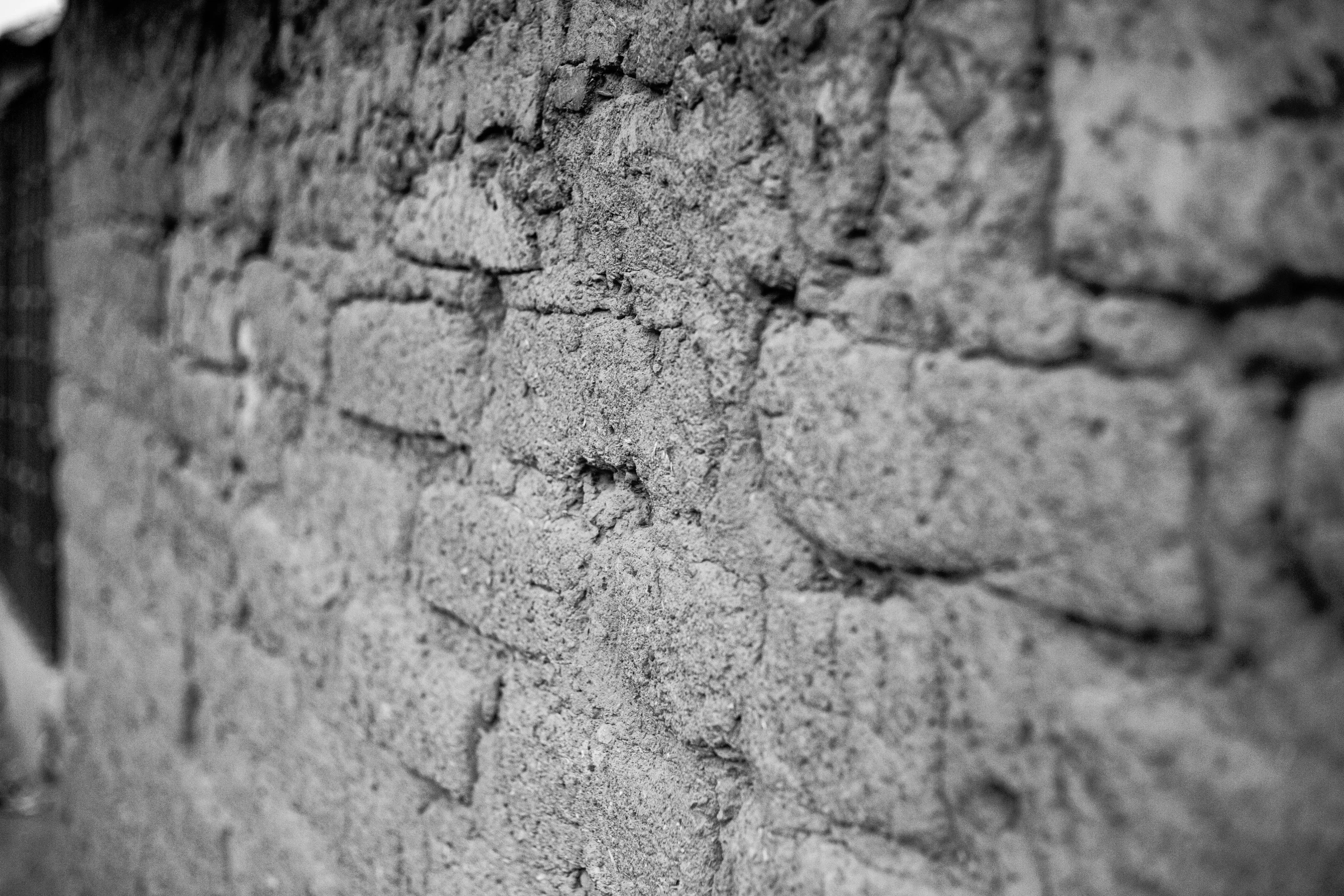 some kind of old brick wall with grass on top