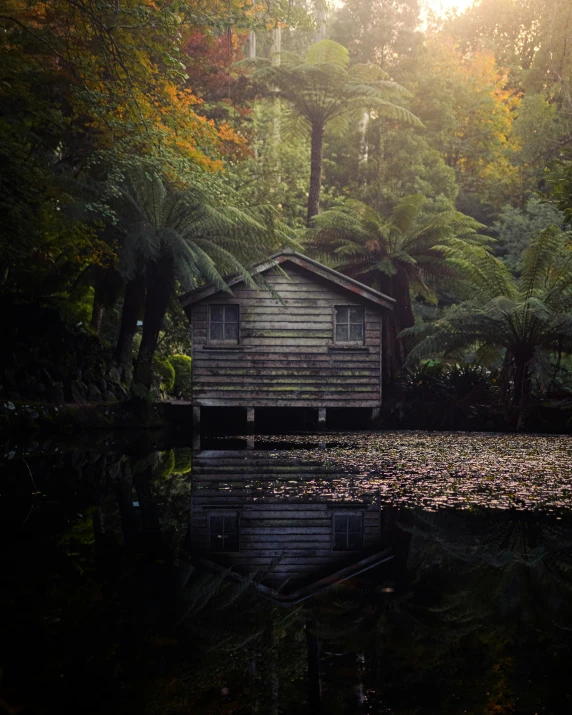 a shed in the forest is shown at the water's edge