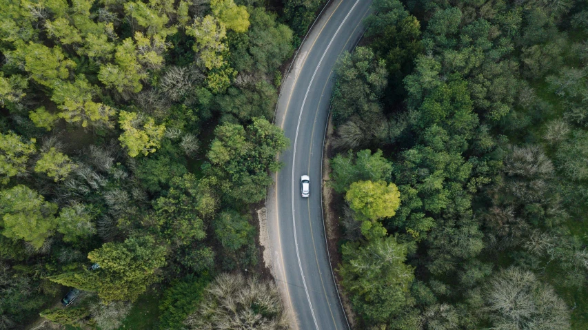 an overhead view of a road in a forest