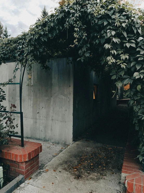 a small building covered in leaves and vines