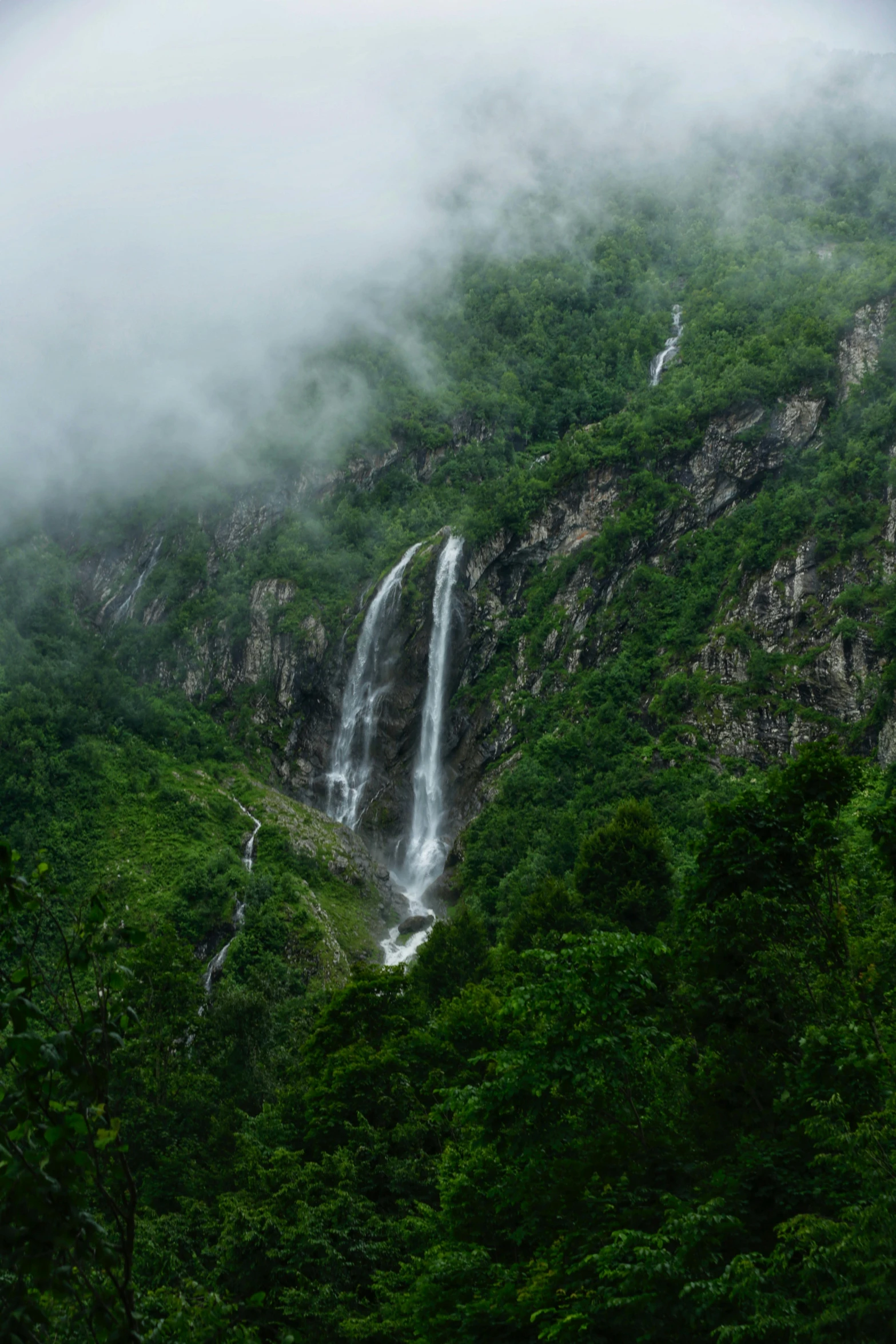 waterfall near a forest with lush green trees