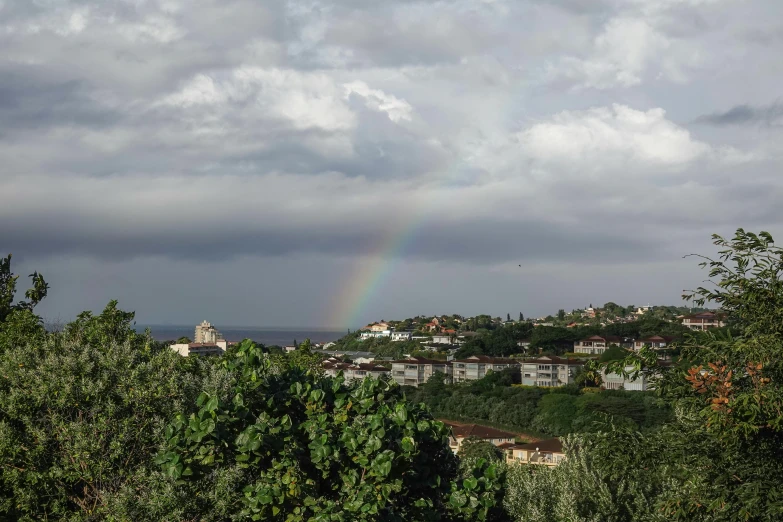 a view through a lot of trees towards a rainbow in the sky