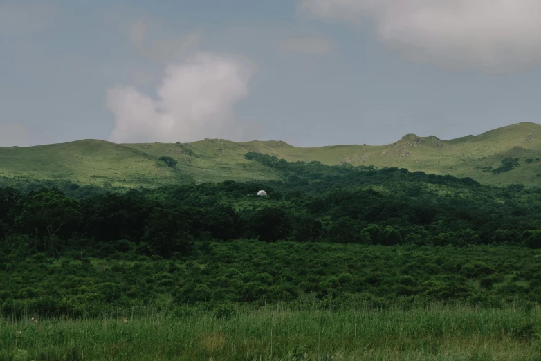 the green hills are in the distance as it stands