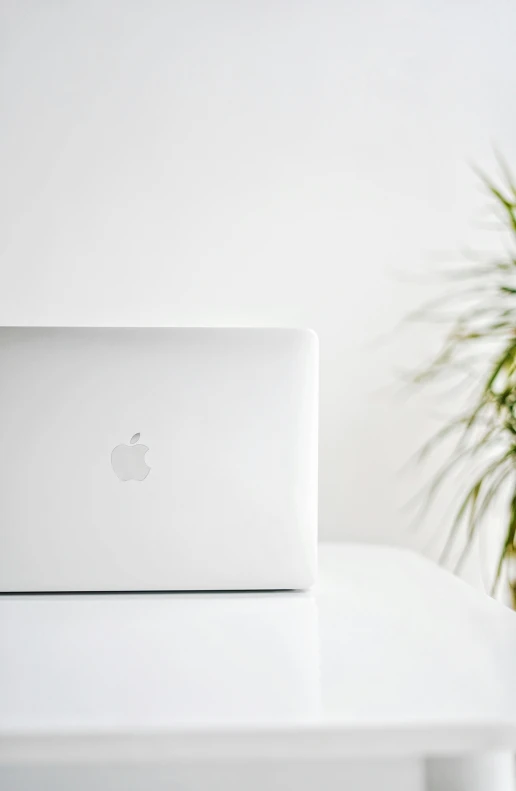 an apple laptop sits next to a small plant