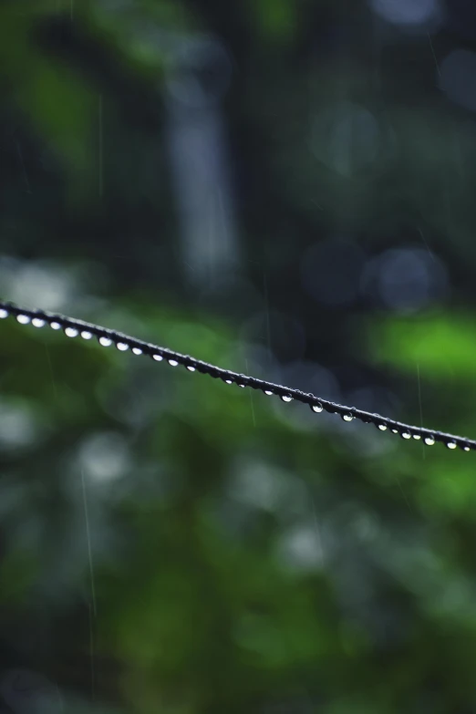 a close up of rain drops on a line