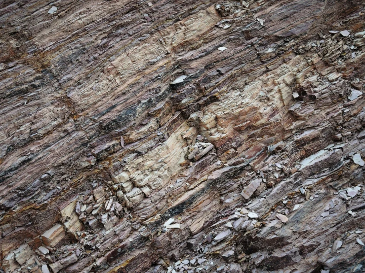 an image of a brown rock surface with some white stuff