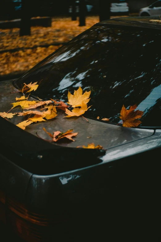 a car that is parked and all yellow leafy on the ground