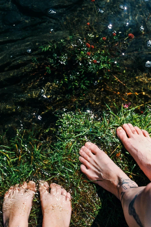 feet in water sitting next to grass and flowers