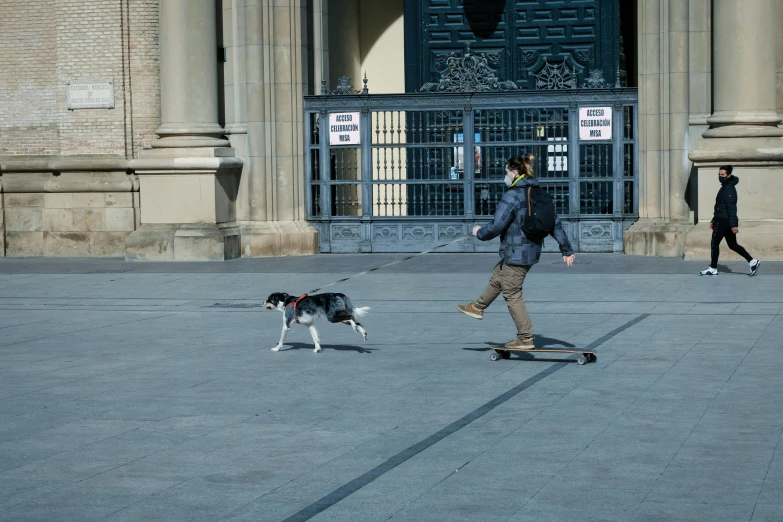 man on skateboard with dog running past him