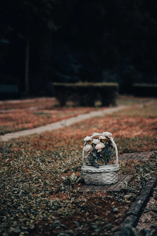 a basket full of flowers sits on the ground