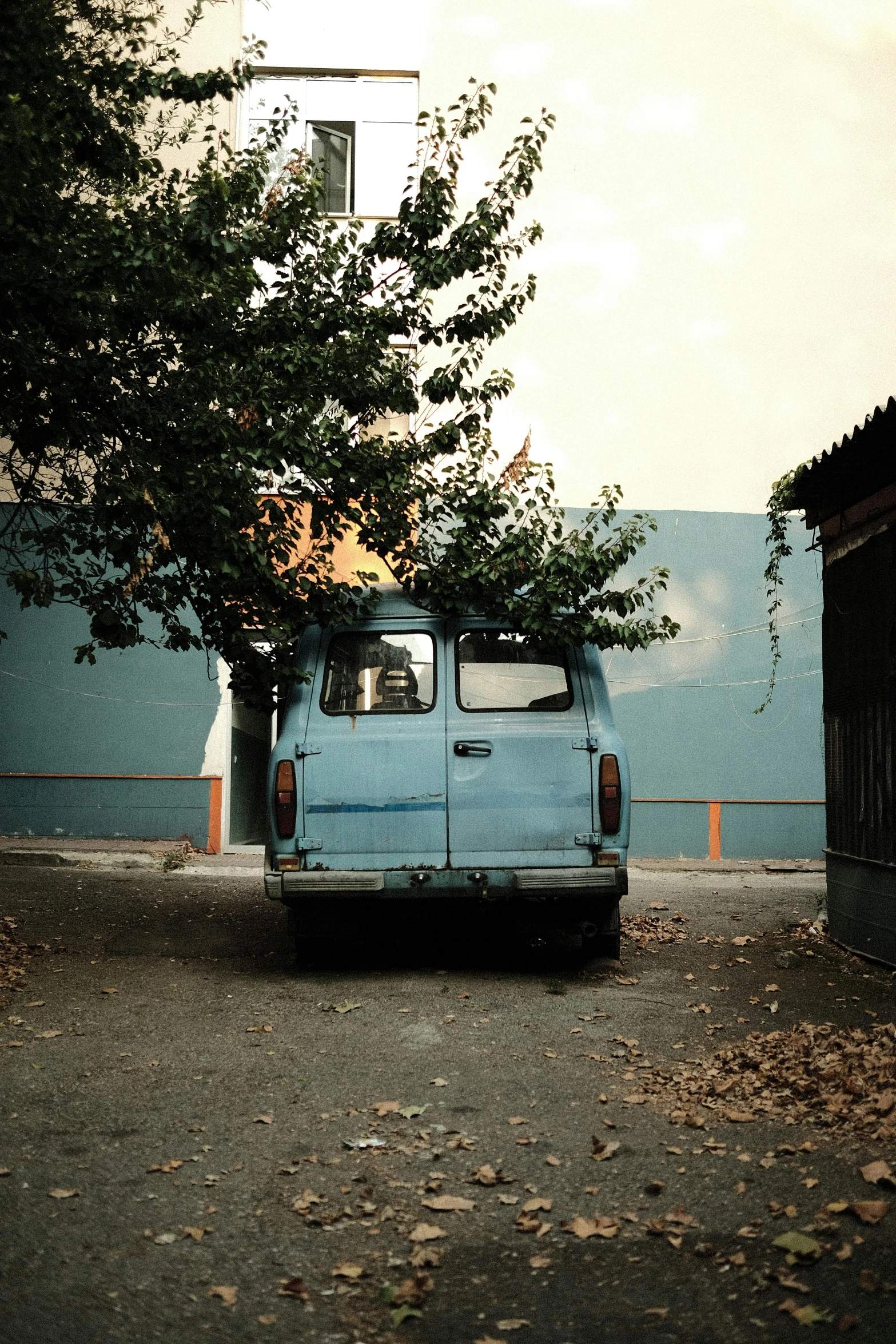 a van parked in the parking lot near trees