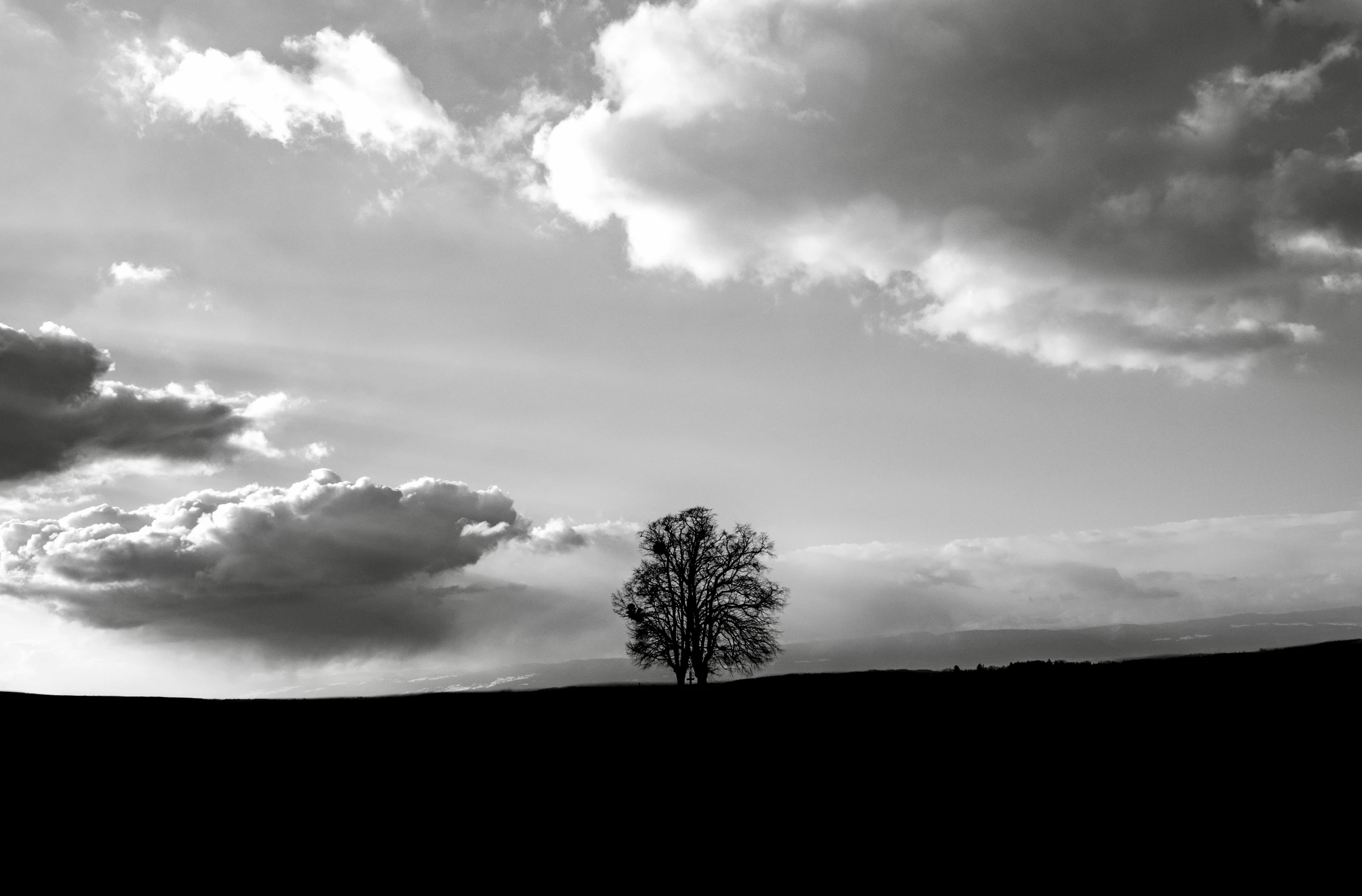 a lone tree in a landscape of dark clouds and light rays