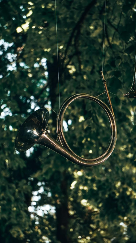 an upside down musical instrument suspended from a tree