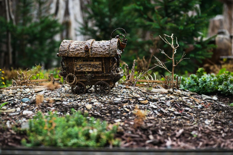 a picture of an old wooden box with rocks and plants next to it