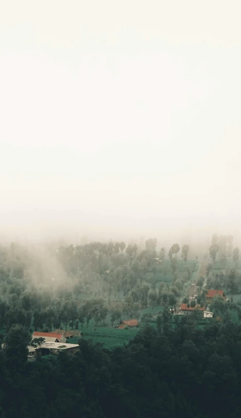 a town covered in dense fog from an airplane