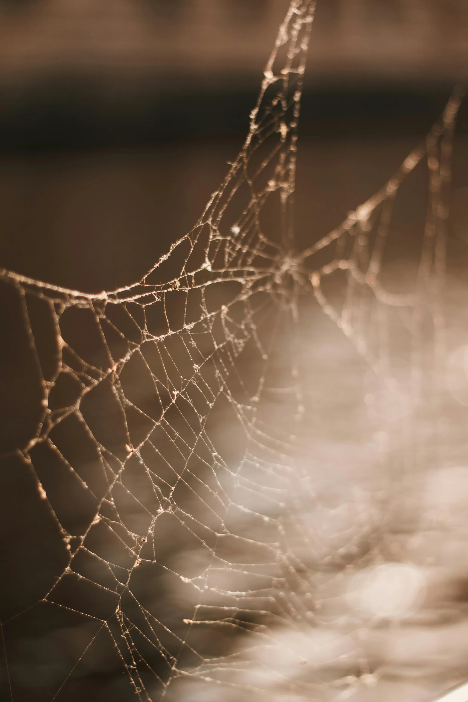 water droplets sitting in the top of a net