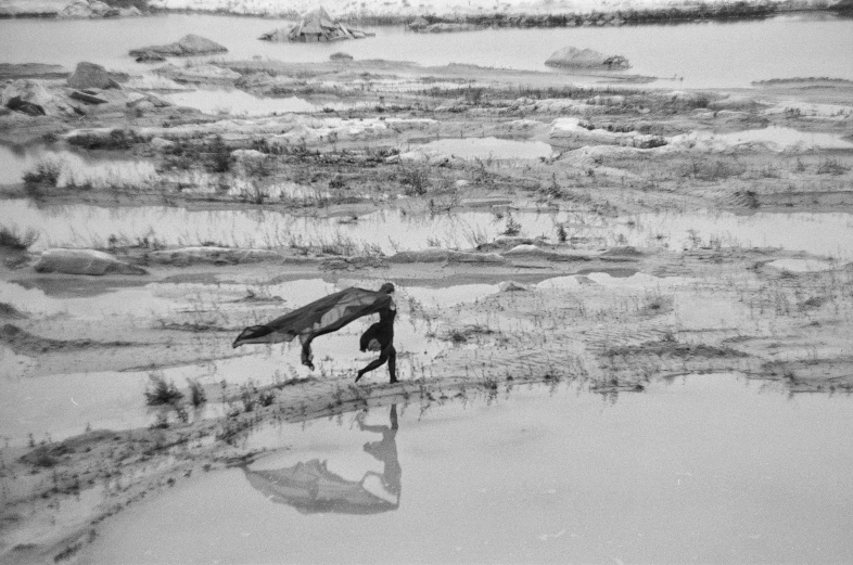 a single bird is walking through the wet plains