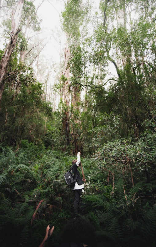 two people in the forest taking pictures