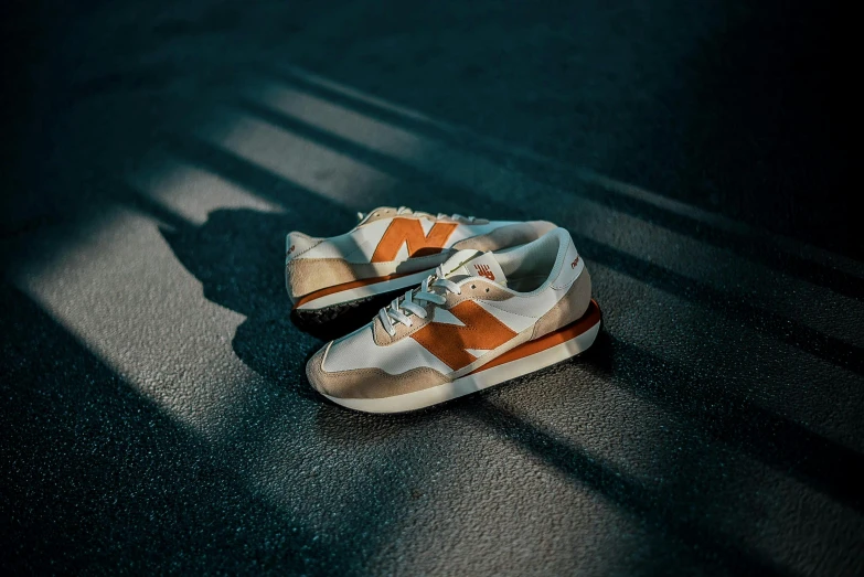 a pair of shoes is on the floor in the shadow