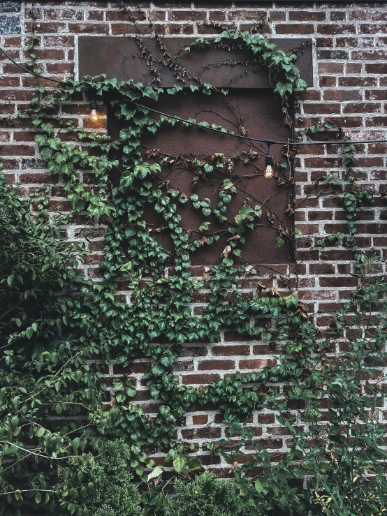 the window on the side of a brick building covered with vines