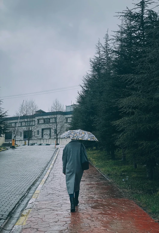 person with umbrella walks down rainy path past homes