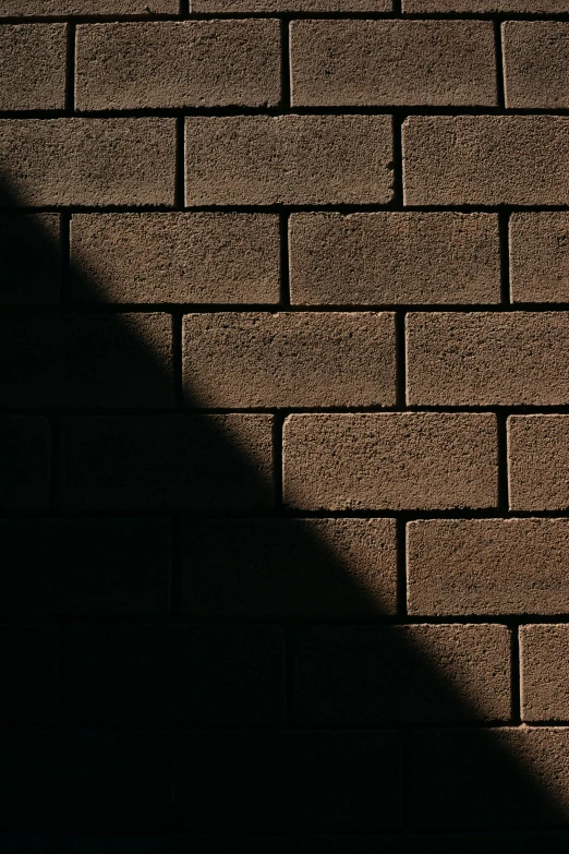 shadows cast on a wall over a skateboard